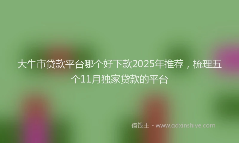大牛市贷款平台哪个好下款2025年推荐，梳理五个11月独家贷款的平台