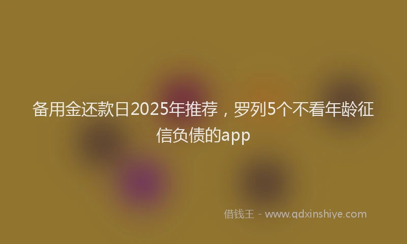 备用金还款日2025年推荐，罗列5个不看年龄征信负债的app