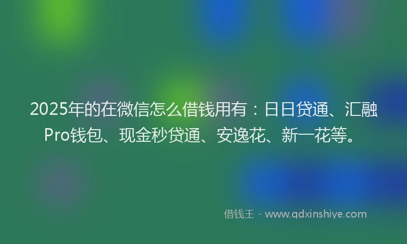 2025年的在微信怎么借钱用有：日日贷通、汇融Pro钱包、现金秒贷通、安逸花、新一花等。