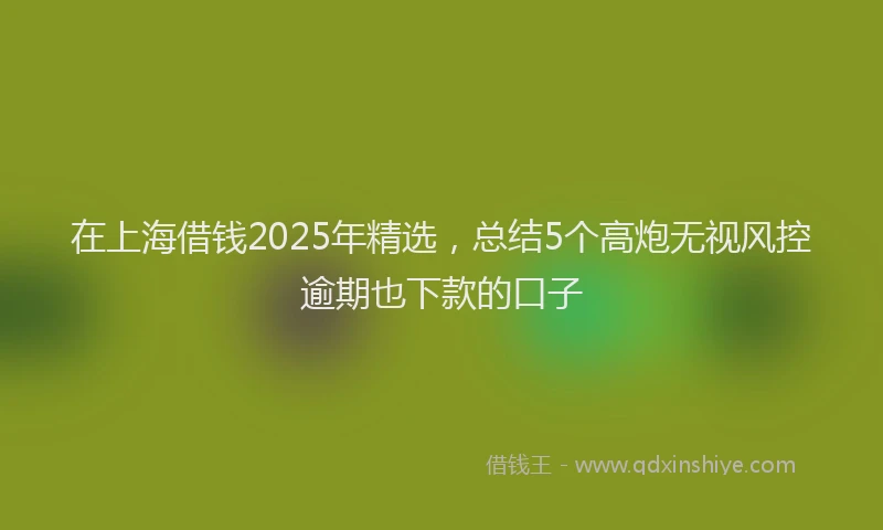 在上海借钱2025年精选，总结5个高炮无视风控逾期也下款的口子