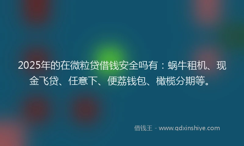 2025年的在微粒贷借钱安全吗有：蜗牛租机、现金飞贷、任意下、便荔钱包、橄榄分期等。