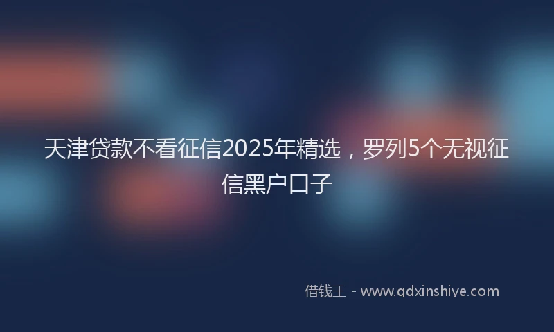 天津贷款不看征信2025年精选，罗列5个无视征信黑户口子