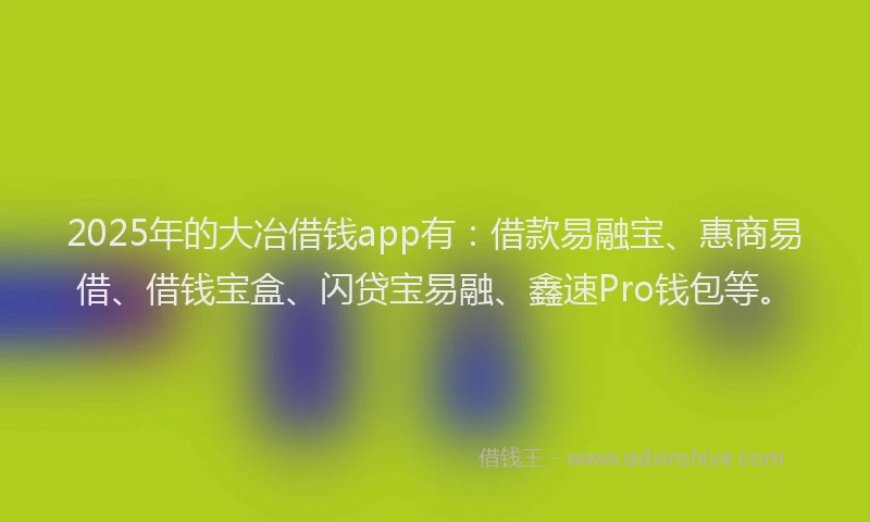 2025年的大冶借钱app有:借款易融宝、惠商易借、借钱宝盒、闪贷宝易融、鑫速Pro钱包等。