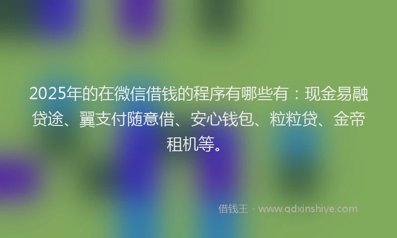 2025年的在微信借钱的程序有哪些有：现金易融贷途、翼支付随意借、安心钱包、粒粒贷、金帝租机等。