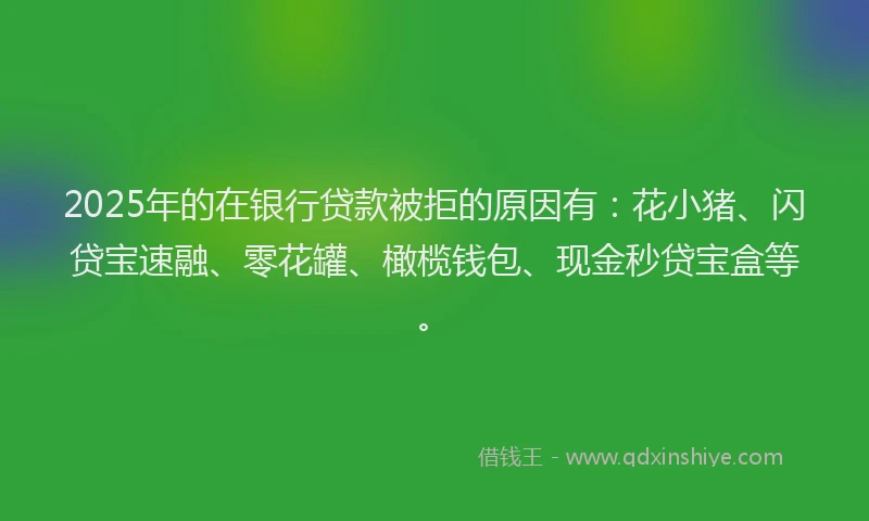 2025年的在银行贷款被拒的原因有：花小猪、闪贷宝速融、零花罐、橄榄钱包、现金秒贷宝盒等。