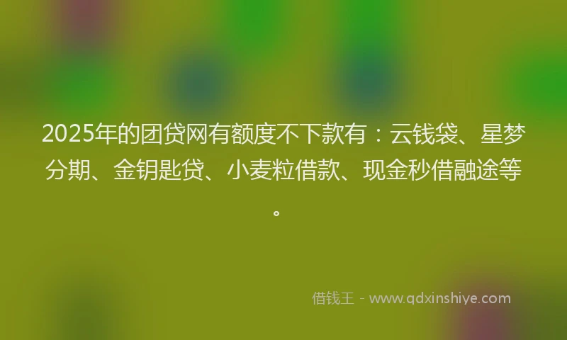 2025年的团贷网有额度不下款有：云钱袋、星梦分期、金钥匙贷、小麦粒借款、现金秒借融途等。