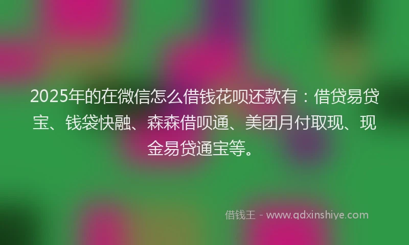 2025年的在微信怎么借钱花呗还款有：借贷易贷宝、钱袋快融、森森借呗通、美团月付取现、现金易贷通宝等。
