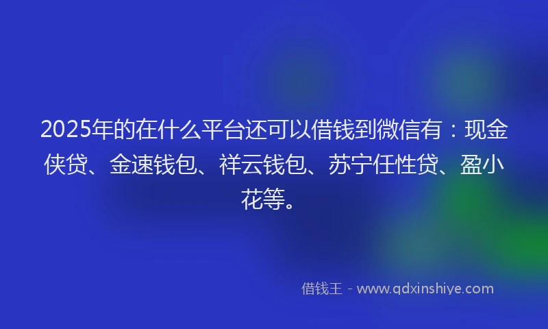 2025年的在什么平台还可以借钱到微信有：现金侠贷、金速钱包、祥云钱包、苏宁任性贷、盈小花等。