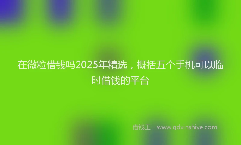 在微粒借钱吗2025年精选，概括五个手机可以临时借钱的平台