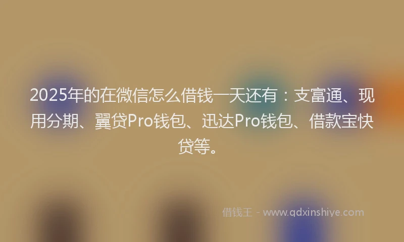 2025年的在微信怎么借钱一天还有：支富通、现用分期、翼贷Pro钱包、迅达Pro钱包、借款宝快贷等。