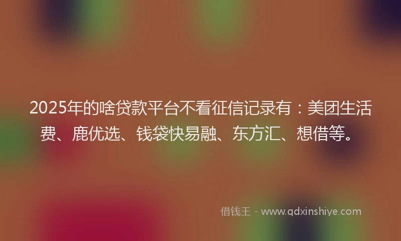 2025年的啥贷款平台不看征信记录有：美团生活费、鹿优选、钱袋快易融、东方汇、想借等。
