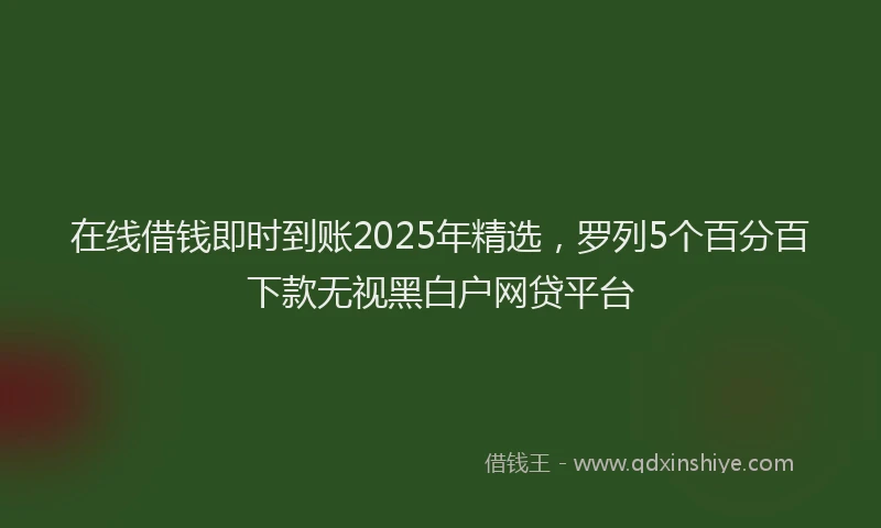 在线借钱即时到账2025年精选,罗列5个百分百下款无视黑白户网贷平台