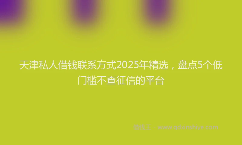 天津私人借钱联系方式2025年精选，盘点5个低门槛不查征信的平台