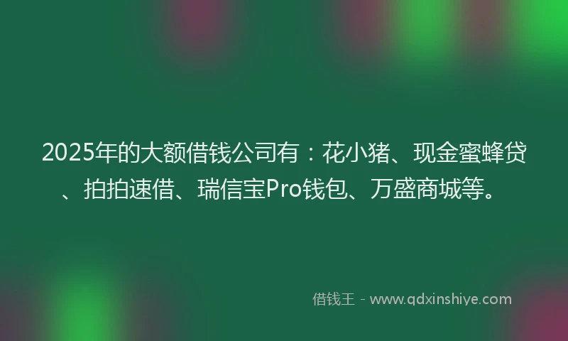 2025年的大额借钱公司有：花小猪、现金蜜蜂贷、拍拍速借、瑞信宝Pro钱包、万盛商城等。