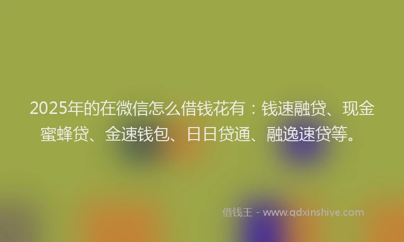 2025年的在微信怎么借钱花有：钱速融贷、现金蜜蜂贷、金速钱包、日日贷通、融逸速贷等。
