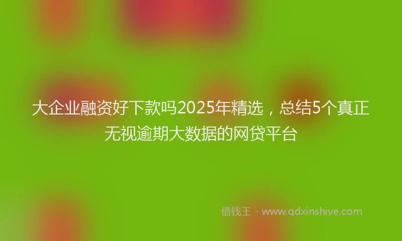 大企业融资好下款吗2025年精选，总结5个真正无视逾期大数据的网贷平台