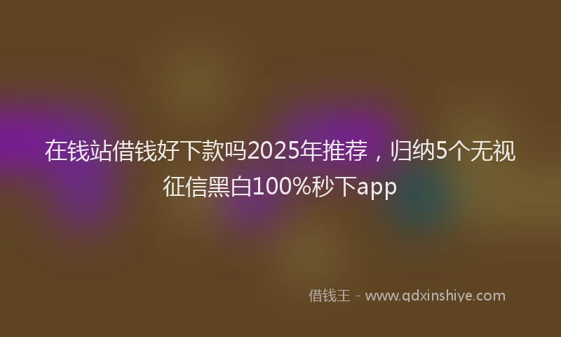 在钱站借钱好下款吗2025年推荐，归纳5个无视征信黑白100%秒下app