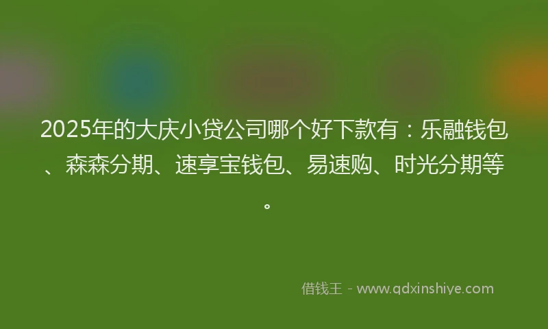 2025年的大庆小贷公司哪个好下款有：乐融钱包、森森分期、速享宝钱包、易速购、时光分期等。