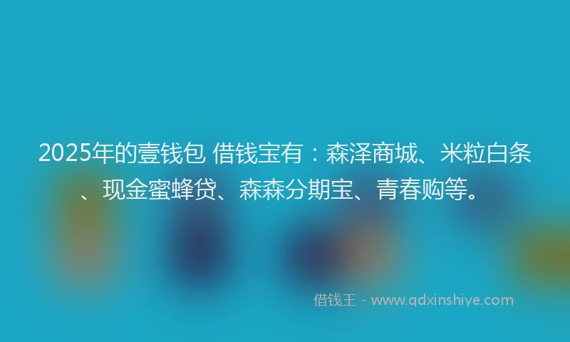 2025年的壹钱包 借钱宝有：森泽商城、米粒白条、现金蜜蜂贷、森森分期宝、青春购等。