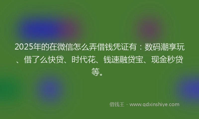 2025年的在微信怎么弄借钱凭证有：数码潮享玩、借了么快贷、时代花、钱速融贷宝、现金秒贷等。