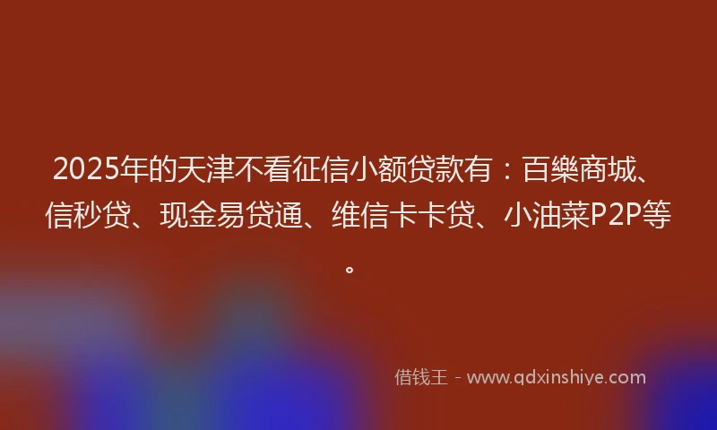 2025年的天津不看征信小额贷款有：百樂商城、信秒贷、现金易贷通、维信卡卡贷、小油菜P2P等。