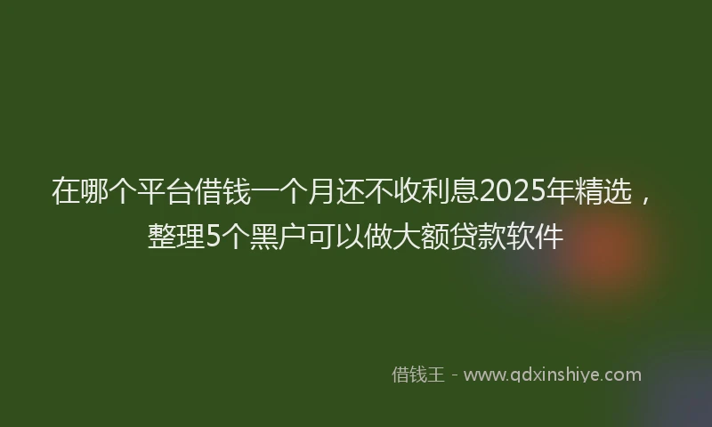 在哪个平台借钱一个月还不收利息2025年精选，整理5个黑户可以做大额贷款软件