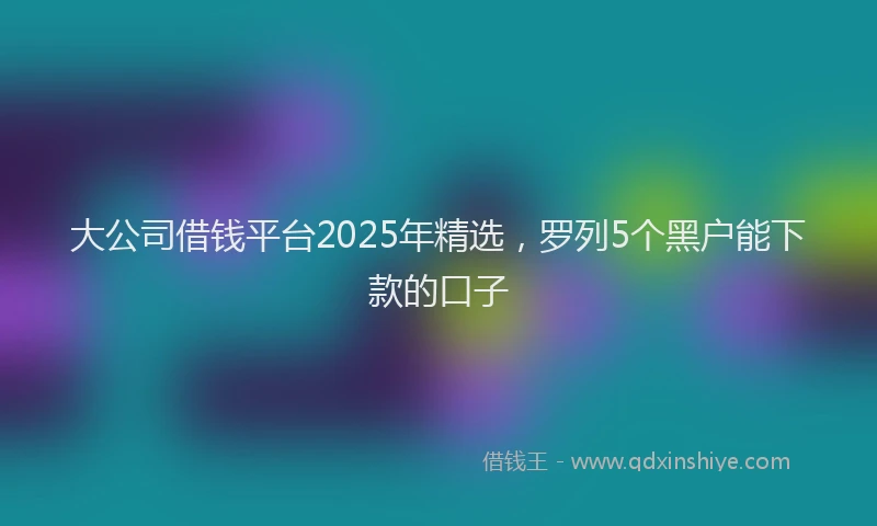 大公司借钱平台2025年精选，罗列5个黑户能下款的口子