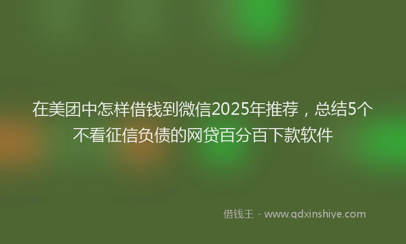 在美团中怎样借钱到微信2025年推荐，总结5个不看征信负债的网贷百分百下款软件