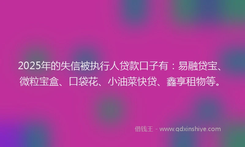 2025年的失信被执行人贷款口子有：易融贷宝、微粒宝盒、口袋花、小油菜快贷、鑫享租物等。