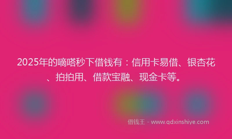2025年的嘀嗒秒下借钱有：信用卡易借、银杏花、拍拍用、借款宝融、现金卡等。
