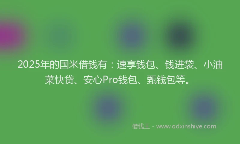 2025年的国米借钱有：速享钱包、钱进袋、小油菜快贷、安心Pro钱包、甄钱包等。