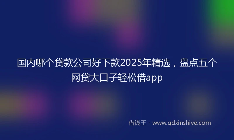 国内哪个贷款公司好下款2025年精选，盘点五个网贷大口子轻松借app