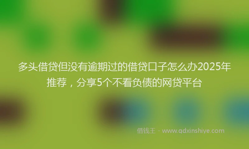 多头借贷但没有逾期过的借贷口子怎么办2025年推荐，分享5个不看负债的网贷平台