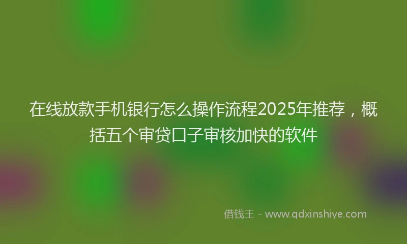 在线放款手机银行怎么操作流程2025年推荐，概括五个审贷口子审核加快的软件
