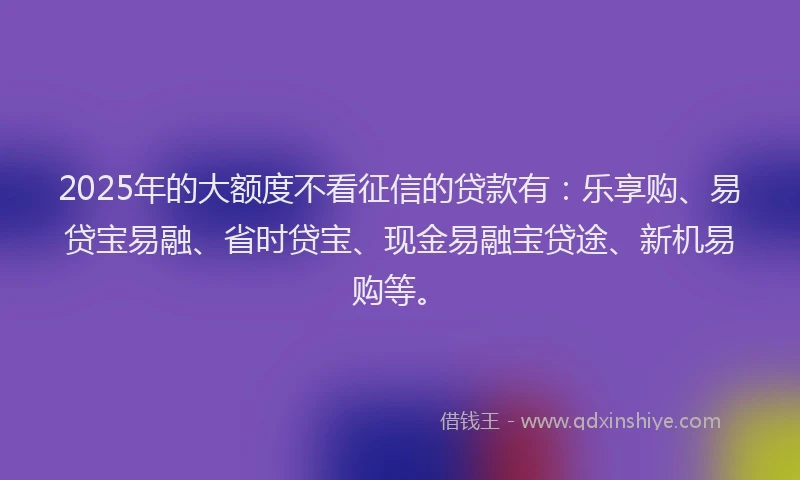 2025年的大额度不看征信的贷款有：乐享购、易贷宝易融、省时贷宝、现金易融宝贷途、新机易购等。