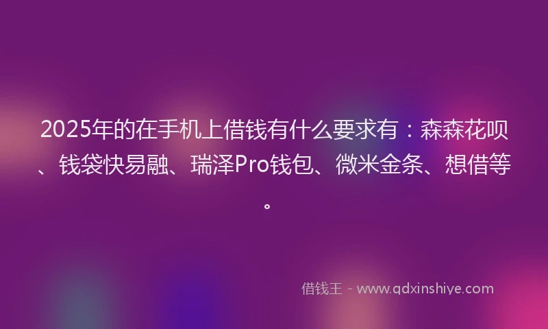 2025年的在手机上借钱有什么要求有：森森花呗、钱袋快易融、瑞泽Pro钱包、微米金条、想借等。