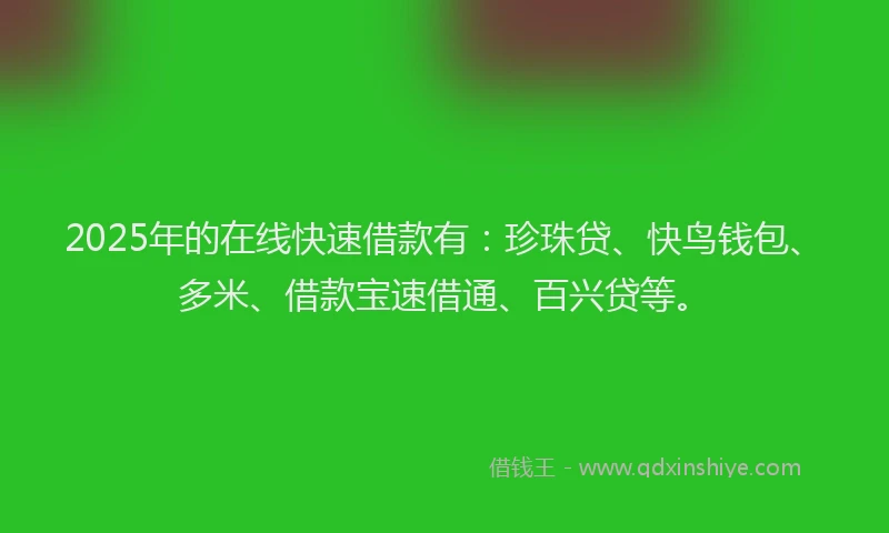 2025年的在线快速借款有：珍珠贷、快鸟钱包、多米、借款宝速借通、百兴贷等。