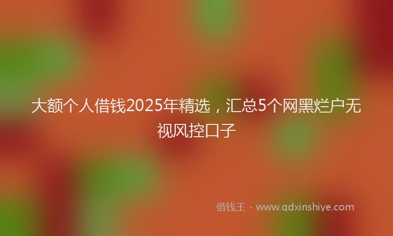 大额个人借钱2025年精选，汇总5个网黑烂户无视风控口子