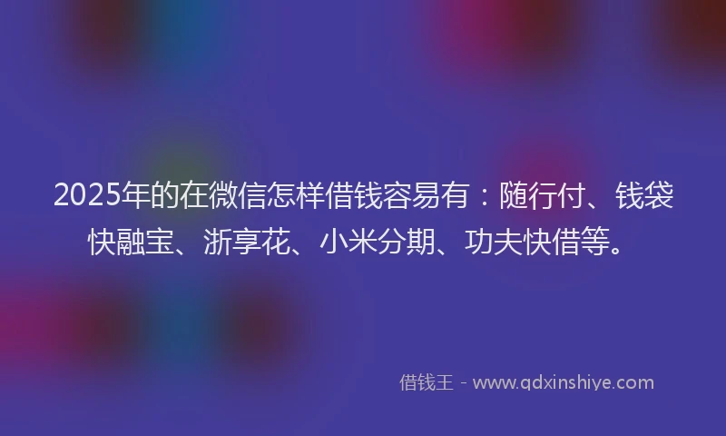 2025年的在微信怎样借钱容易有：随行付、钱袋快融宝、浙享花、小米分期、功夫快借等。