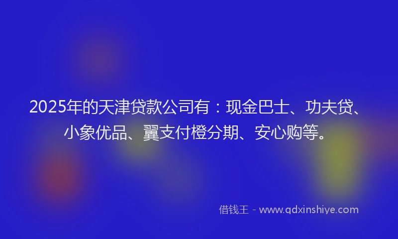 2025年的天津贷款公司有：现金巴士、功夫贷、小象优品、翼支付橙分期、安心购等。