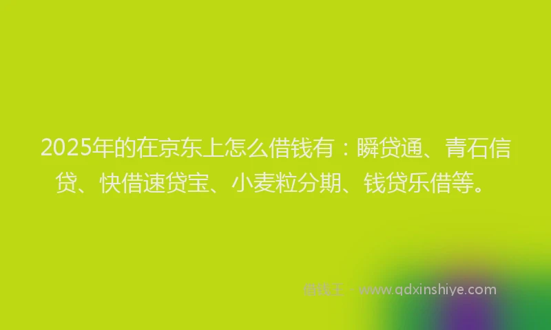 2025年的在京东上怎么借钱有：瞬贷通、青石信贷、快借速贷宝、小麦粒分期、钱贷乐借等。