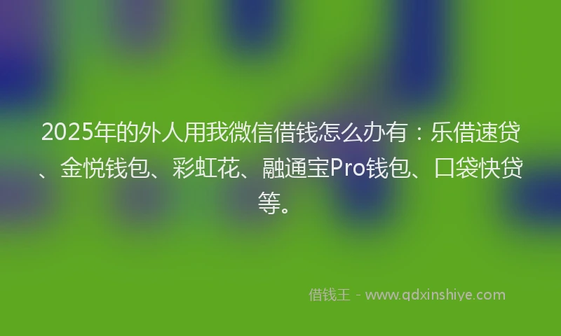 2025年的外人用我微信借钱怎么办有：乐借速贷、金悦钱包、彩虹花、融通宝Pro钱包、口袋快贷等。