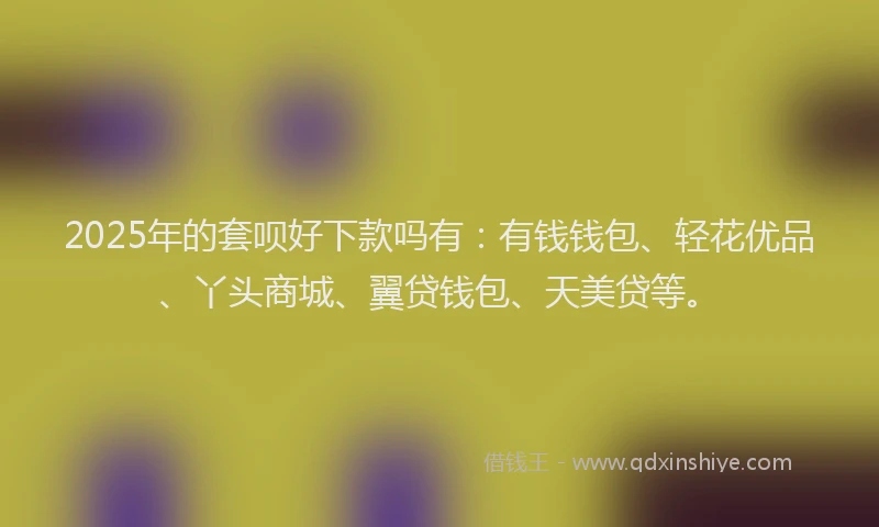 2025年的套呗好下款吗有：有钱钱包、轻花优品、丫头商城、翼贷钱包、天美贷等。