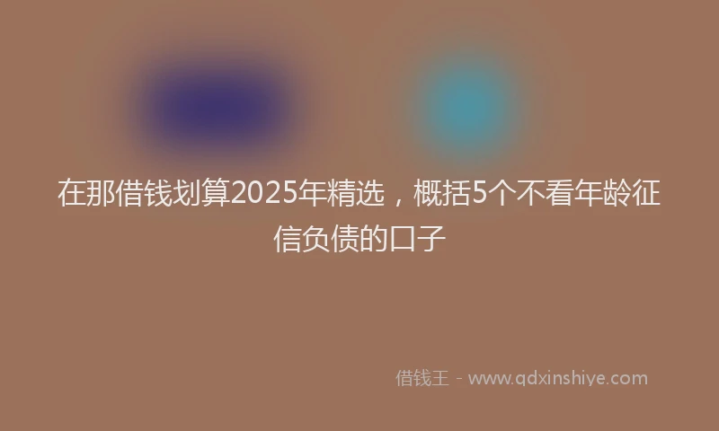 在那借钱划算2025年精选，概括5个不看年龄征信负债的口子