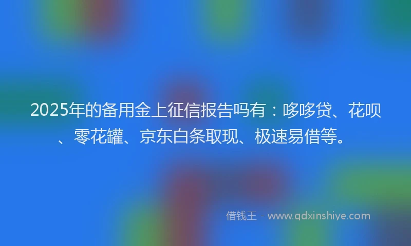 2025年的备用金上征信报告吗有：哆哆贷、花呗、零花罐、京东白条取现、极速易借等。