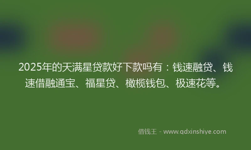 2025年的天满星贷款好下款吗有：钱速融贷、钱速借融通宝、福星贷、橄榄钱包、极速花等。