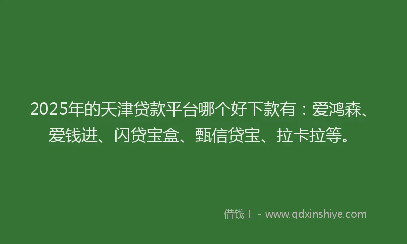 2025年的天津贷款平台哪个好下款有：爱鸿森、爱钱进、闪贷宝盒、甄信贷宝、拉卡拉等。