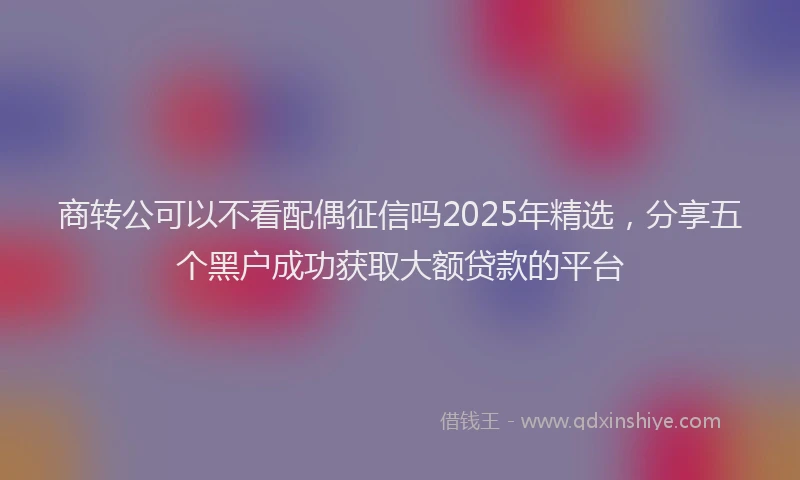 商转公可以不看配偶征信吗2025年精选，分享五个黑户成功获取大额贷款的平台