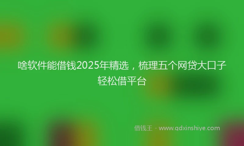 啥软件能借钱2025年精选，梳理五个网贷大口子轻松借平台