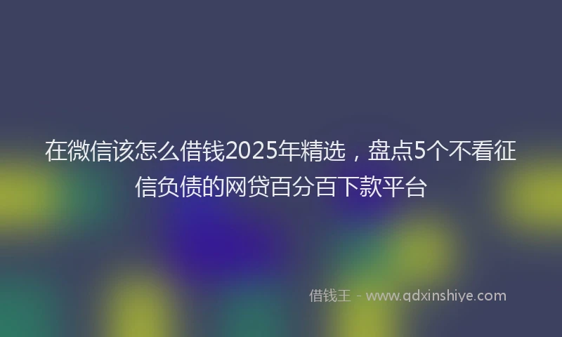 在微信该怎么借钱2025年精选，盘点5个不看征信负债的网贷百分百下款平台